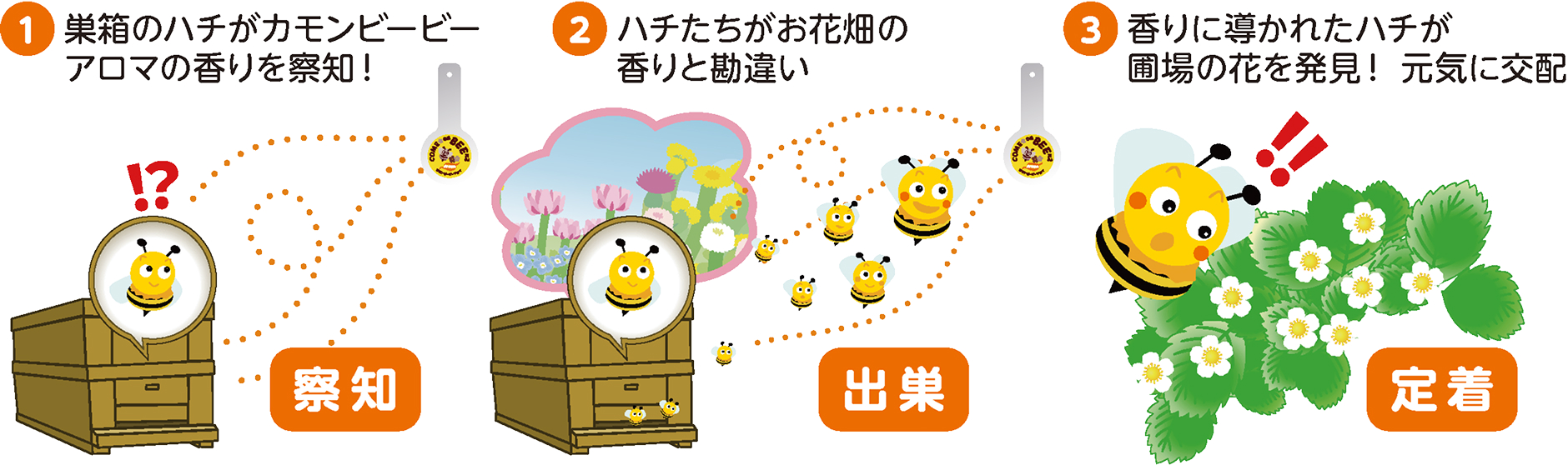 カモンビービー®アロマが利く3ステップ