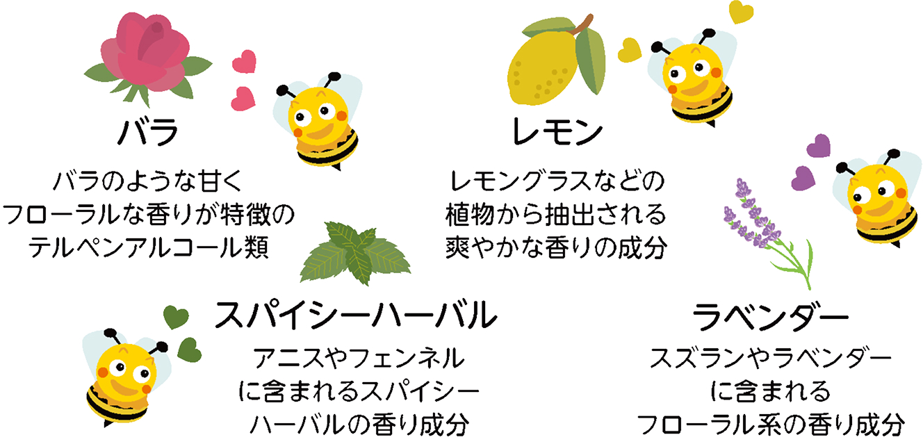 カモンビービー®アロマの4つの香り