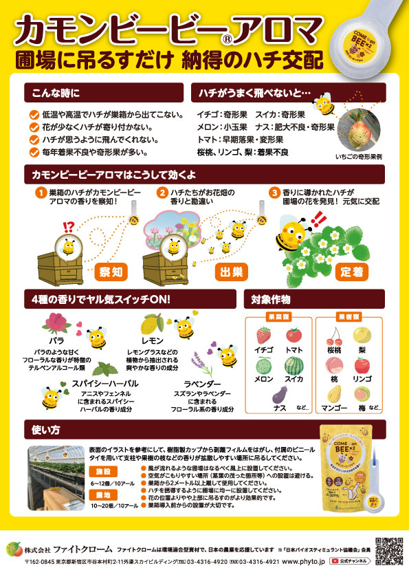 カモンビービー®アロマチラシ（裏）