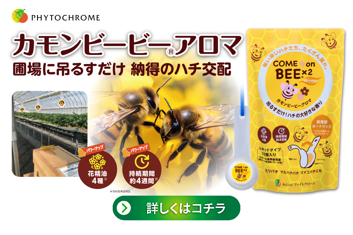 カモンビービーアロマ