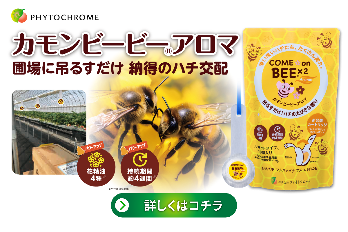 カモンビービーアロマ