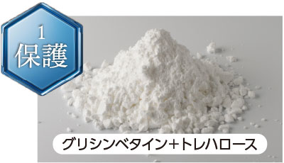 特長1 保護 グリシンベタイン＋トレハロース