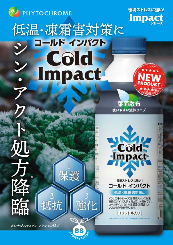 コールドインパクトチラシ（表）