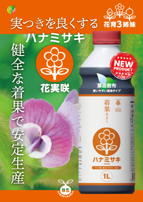 ハナミサキチラシ（表）