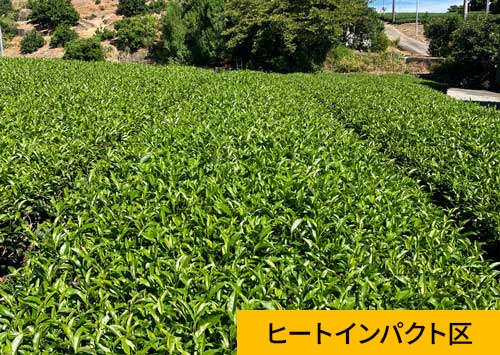 ヒートインパクト区