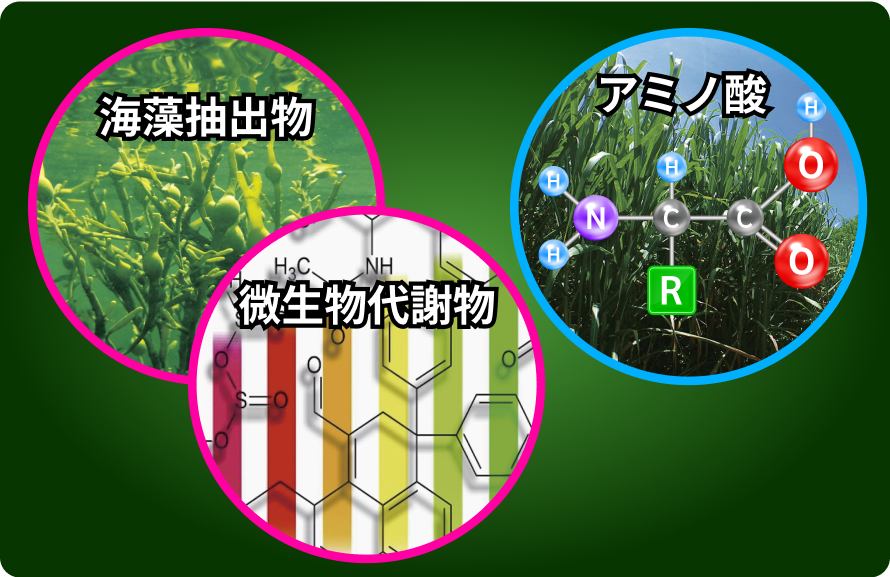 アミノ酸・海藻抽出物・微生物代謝物