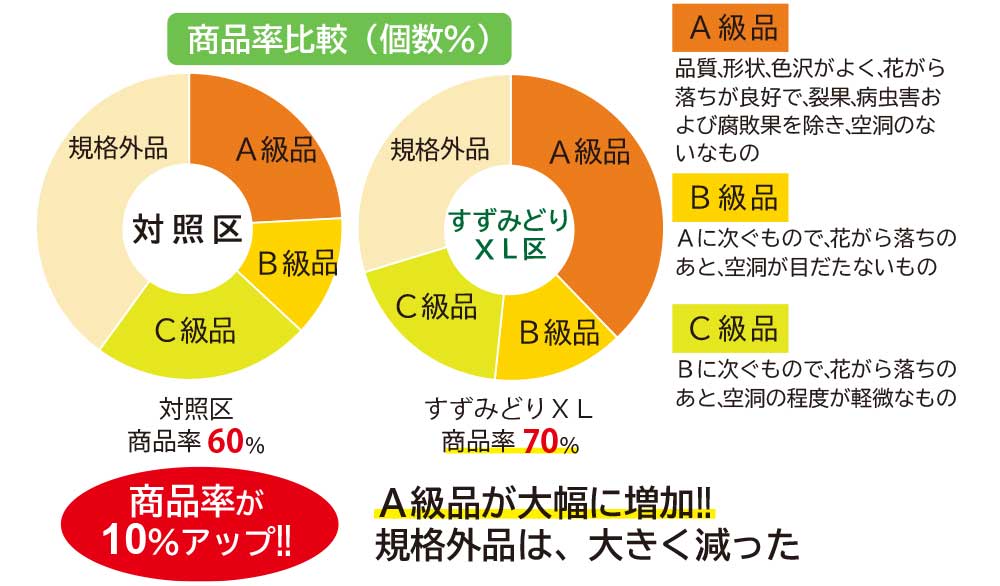トマト（ハウス栽培）