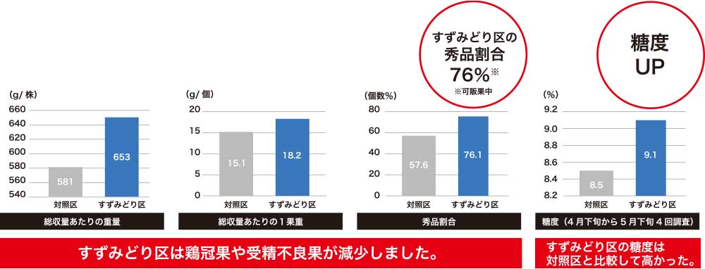夏秋期のイチゴ（ハウス栽培）の試験結果