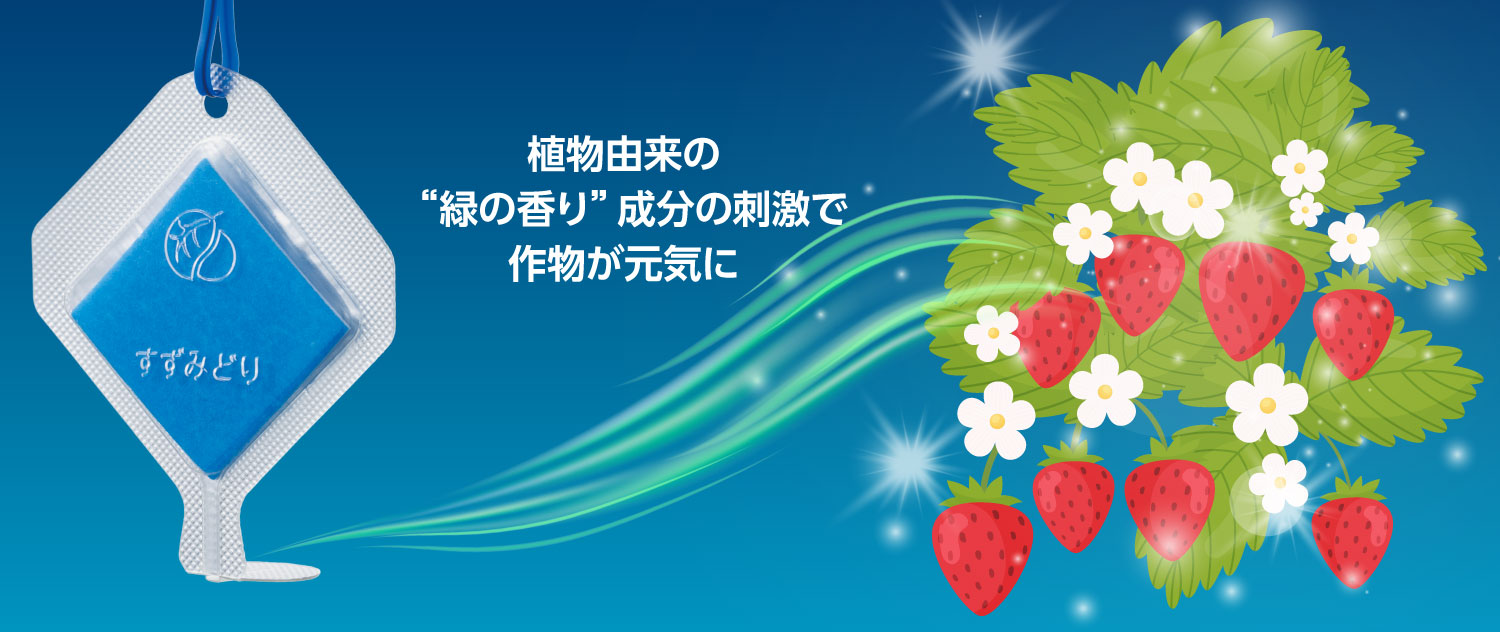 すずみどり<sub>®</sub>Neoの作用メカニズム