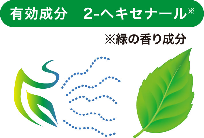 すずみどり<sub>®</sub>Neoの２－ヘキセナールとは？