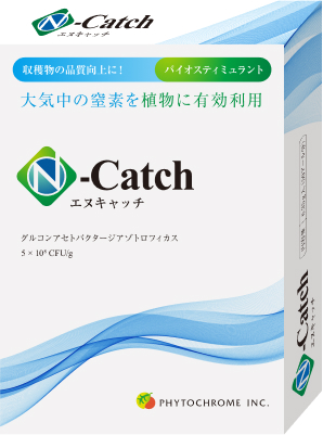 N-Catch化粧箱外観（表）