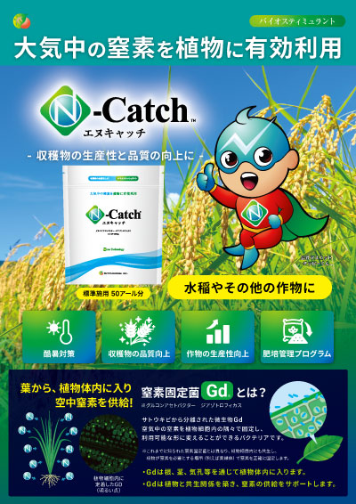 N-Catchチラシ（表）